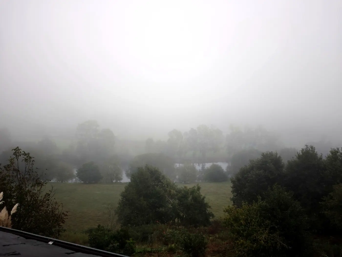 Fog lying on the meadow below the house
