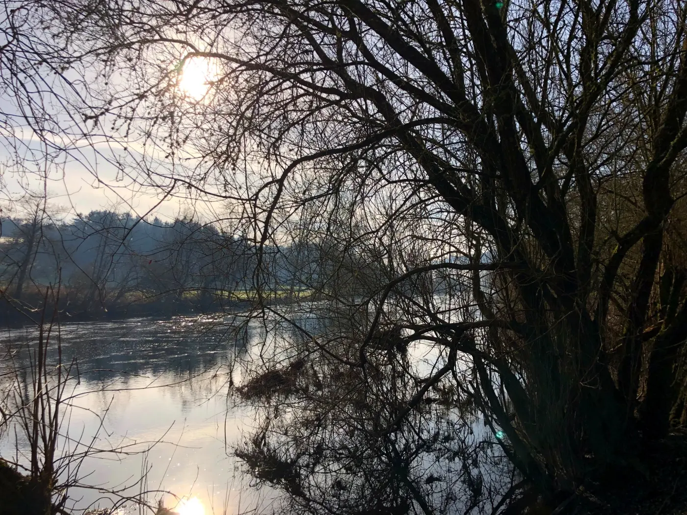 The river in winter, mist on the water