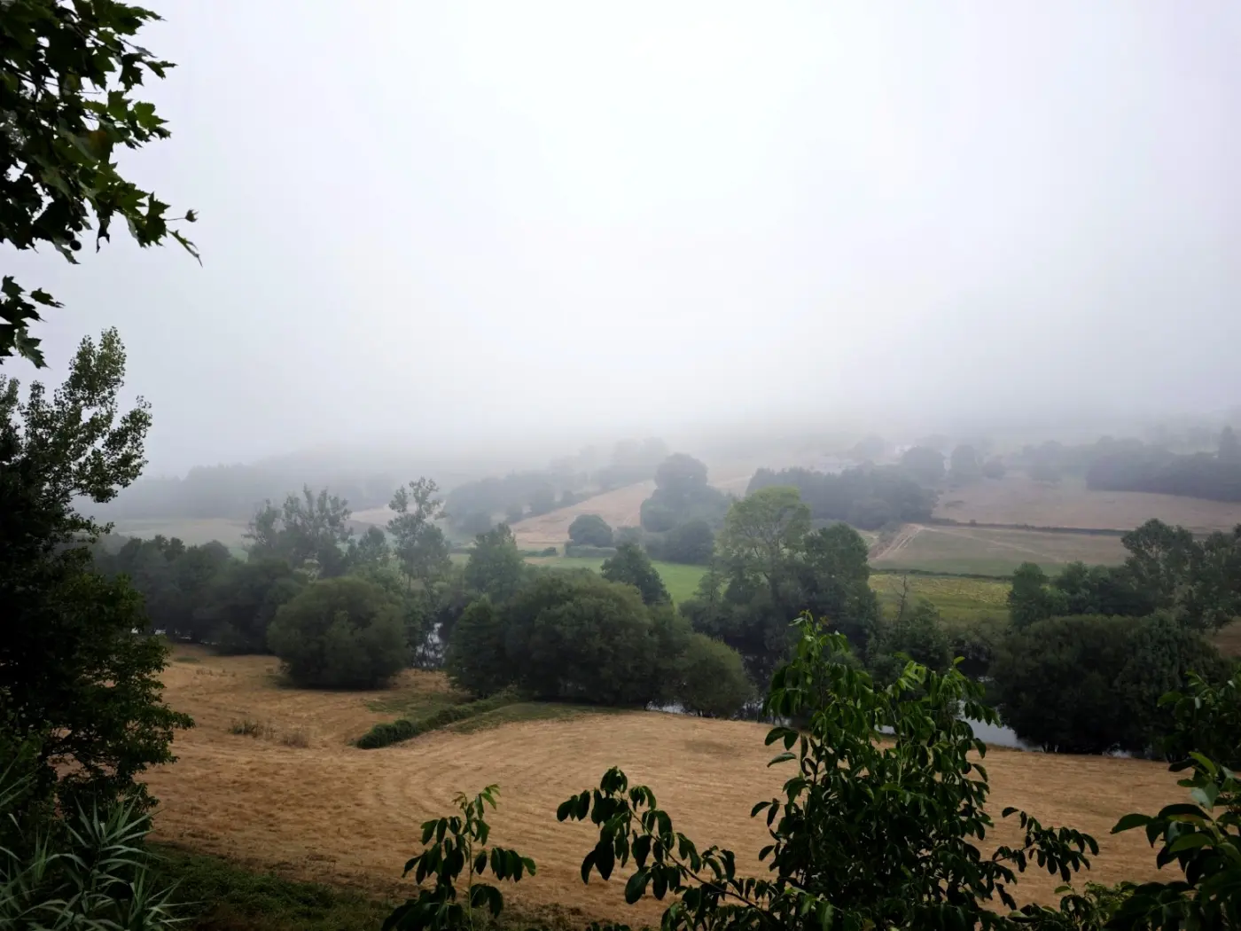 Mist over the valley, seen from the estate